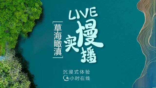 新媒慢直播盒子LiveBox